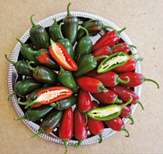 Перец острый Сонора F1 - ООО «Семена Тут»