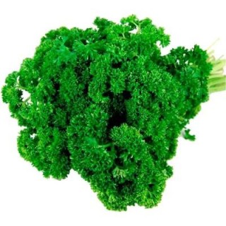 img-0: Петрушка Мооскраузе 2 - ООО «Семена Тут»