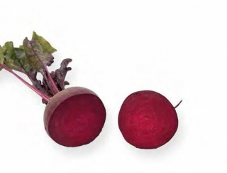 Свекла Монти F1 (фракция 2,75-3,50 мм) - ООО «Семена Тут»