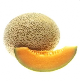 Дыня Алтайская - ООО «Семена Тут»