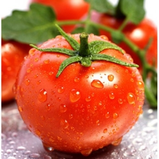 Томат Томск F1 - ООО «Семена Тут»