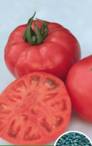 img-1: Томат Ролекс F1 - ООО «Семена Тут»