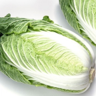 Капуста пекинская Айкидо - ООО «Семена Тут»