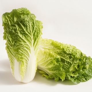 Капуста пекинская Эндуро F1 - ООО «Семена Тут»