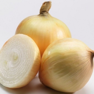 img-0: Лук репчатый Беннито F1 - ООО «Семена Тут»