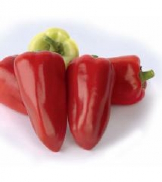 Перец Ростовский юбилейный - ООО «Семена Тут»