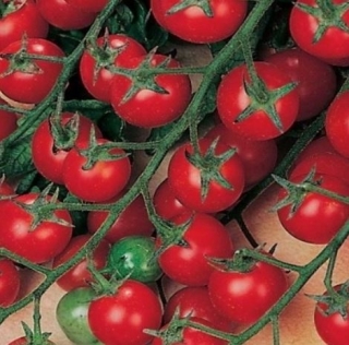 img-0: Томат Бон Бон F1 - ООО «Семена Тут»