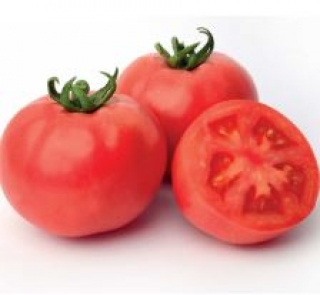 Томат Боярин F1 (инкруст. семена) - ООО «Семена Тут»