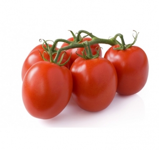 Томат Консерватто F1 - ООО «Семена Тут»