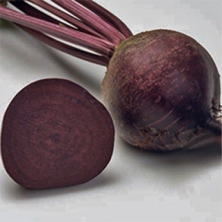 Свекла Акела (фракция 2,75-3,50 мм) - ООО «Семена Тут»