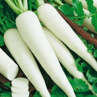img-0: Дайкон Миноваси - ООО «Семена Тут»