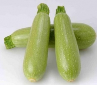 img-1: Кабачок Арал F1 - ООО «Семена Тут»