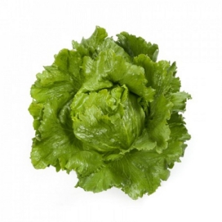 Салат Сантаринас - ООО «Семена Тут»