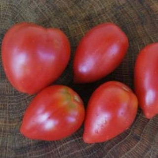 Томат Розовый фламинго - ООО «Семена Тут»