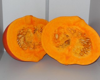 img-1: Тыква Керлинг F1 - ООО «Семена Тут»