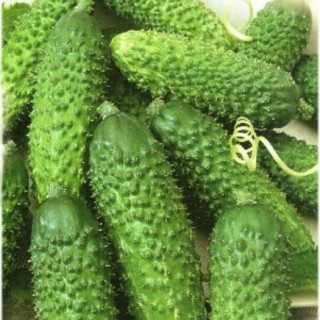 img-0: Огурец Экипаж F1 - ООО «Семена Тут»