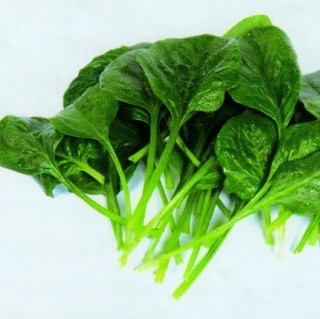 img-0: Шпинат Гелиос F1 - ООО «Семена Тут»