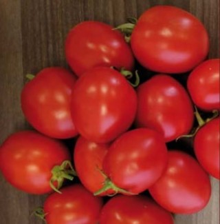 img-0: Томат Гюзель F1 - ООО «Семена Тут»