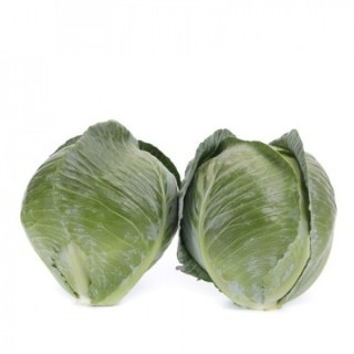 img-1: Капуста белокочанная Конгама F1 - ООО «Семена Тут»