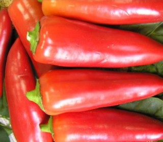 Перец Лидия - ООО «Семена Тут»