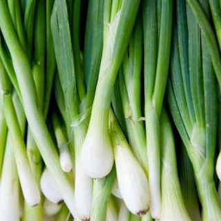 Лук на зелень Лонг Токио - ООО «Семена Тут»