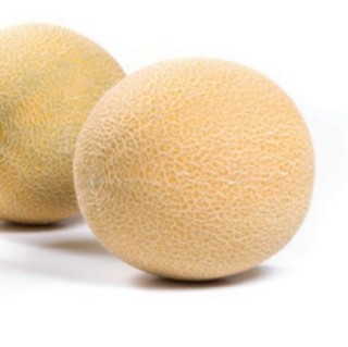 Дыня Мирелла F1 - ООО «Семена Тут»