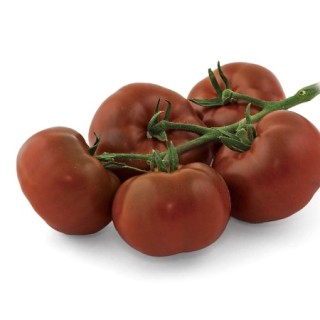 Томат Мулат Б F1 - ООО «Семена Тут»