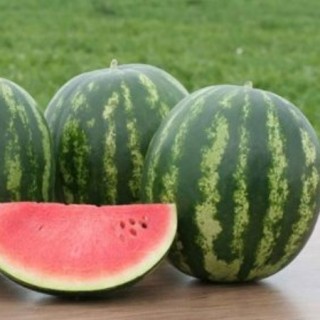 img-1: Арбуз Ница - ООО «Семена Тут»