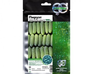 img-1: Огурец Пируэт F1 - ООО «Семена Тут»