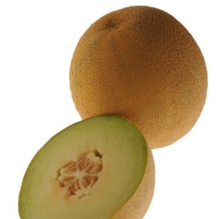 img-1: Дыня Паспорт F1 - ООО «Семена Тут»