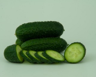 img-1: Огурец Стартап F1 - ООО «Семена Тут»