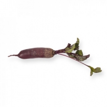 Свекла Кариллон F1 (фракция 2,75-3,5 мм) - ООО «Семена Тут»