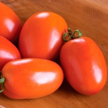 Томат Рио Спринт F1 - ООО «Семена Тут»