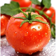 Томат Томск F1 - ООО «Семена Тут»