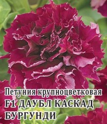 img-1: Петуния махровая Дабл Каскад Бургунди [100 драже] - ООО «Семена Тут»