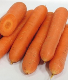 Морковь Нирвана - ООО «Семена Тут»