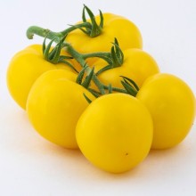 Томат Лимонад F1 - ООО «Семена Тут»