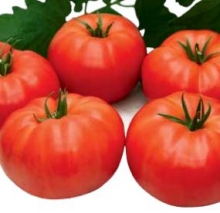 Томат Ангара F1 - ООО «Семена Тут»