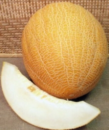 Дыня Идиллия (инкруст. семена) - ООО «Семена Тут»