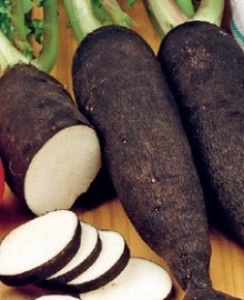 img-1: Редька Цилиндра - ООО «Семена Тут»