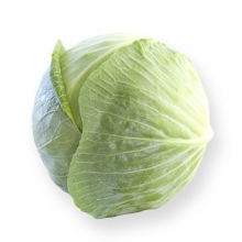 Капуста белокочанная Ориема F1 - ООО «Семена Тут»