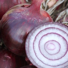 Лук репчатый Каунтач F1 - ООО «Семена Тут»