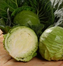 Капуста белокочанная Кандиса F1 - ООО «Семена Тут»