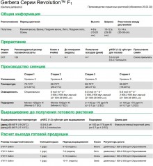img-1: Гербера Революшн Оранж Лайт ай [100 шт] - ООО «Семена Тут»