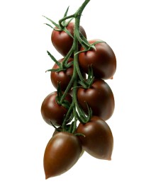 img-1: Томат Индира F1 - ООО «Семена Тут»