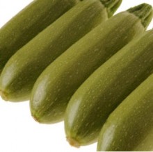 img-1: Кабачок Ирина F1 - ООО «Семена Тут»