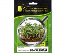 img-1: Капуста кольраби Венская белая МЗ - ООО «Семена Тут»