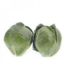 img-1: Капуста белокочанная Конгама F1 - ООО «Семена Тут»