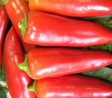 Перец Лидия - ООО «Семена Тут»