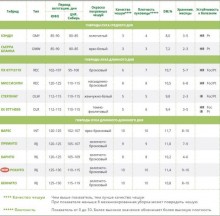 img-1: Лук репчатый Варес F1 - ООО «Семена Тут»